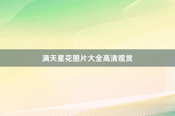 满天星花图片大全高清观赏